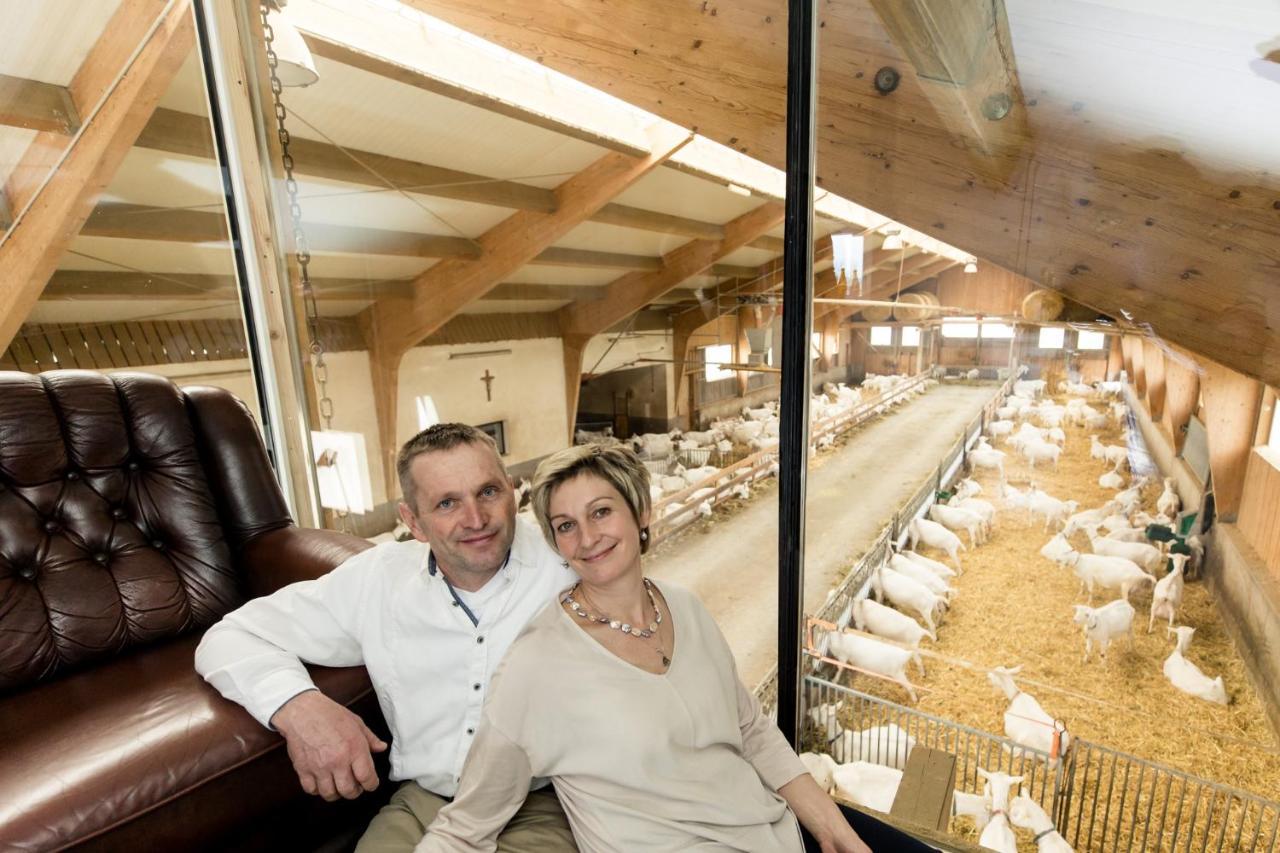 Auszeit Am Ziegenhof Nur Fuer Erwachsene Leilighet Schlierbach Eksteriør bilde